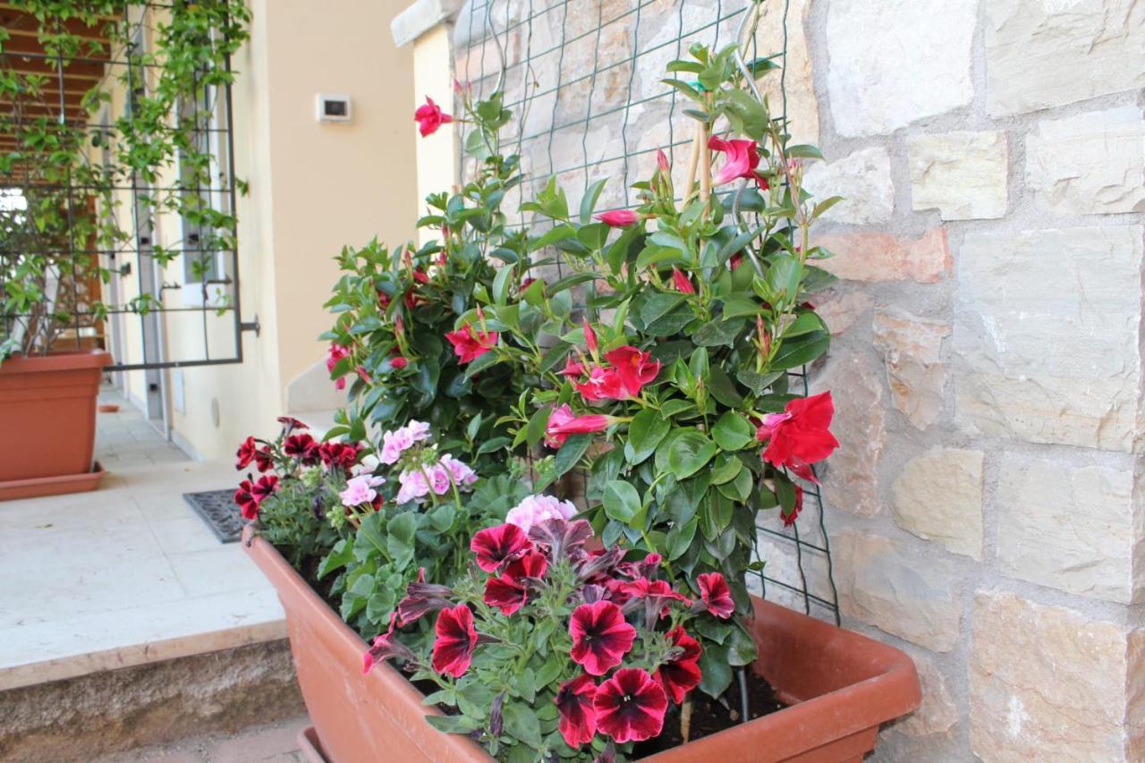 Residence Tasso Canossa - Appartamento Con Piscina Lazise Exterior foto